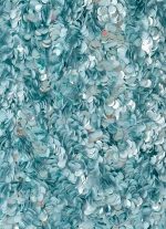 Alayna Sequin Top - Aqua - 图片 7