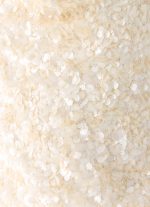 Amelita Sequin Top - Ivory - 图片 8