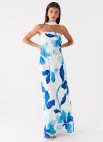 Ashelle Chiffon Maxi Dress - Cerulean Bloom - 图片 4