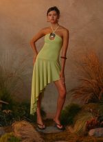 Avigalle Maxi Dress - Lime - 图片 4