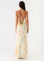Cabello Maxi Dress - Spring Meadow - 图片 7
