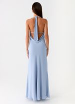 Coralie Maxi Dress - Blue - 图片 3