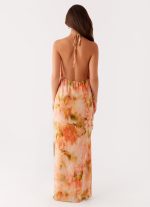 Diedre Rose Strappy Maxi Dress - Sunset Floral - 图片 5