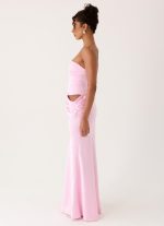 Emory Corset Maxi Dress - Pink - 图片 4
