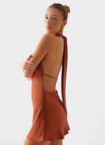 Golden Dunes Mini Dress - Rust - 图片 6