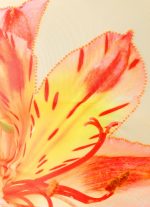 Jacqui Beaded Tank Top - Yellow - 图片 6