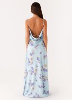 Liana Cowl Maxi Dress - Print - 图片 4