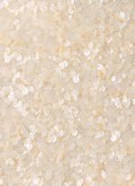 Moonlight Muse Mini Skirt - Ivory - 图片 10