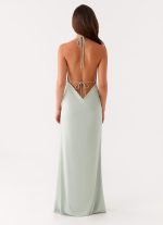 Noemi Maxi Dress - Sage - 图片 4