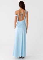 Palm Royal Maxi Dress - Ice Blue - 图片 4