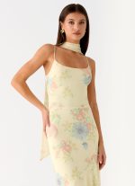 Sole Mio Midi Dress - Spring Meadow - 图片 5