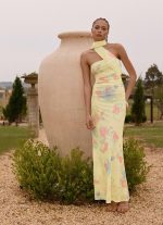 Songbird Maxi Dress - Spring Meadow - 图片 2