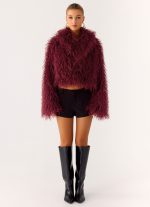 Virginia Cropped Faux Fur Jacket - Maroon - 图片 6
