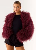 Virginia Cropped Faux Fur Jacket - Maroon - 图片 5