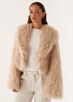 Virginia Cropped Faux Fur Jacket - Taupe - 图片 8